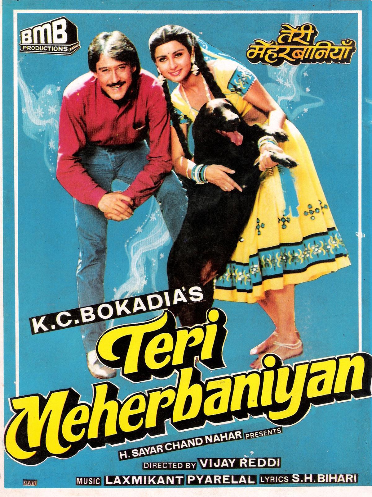 Teri Meri Kahaniyaan