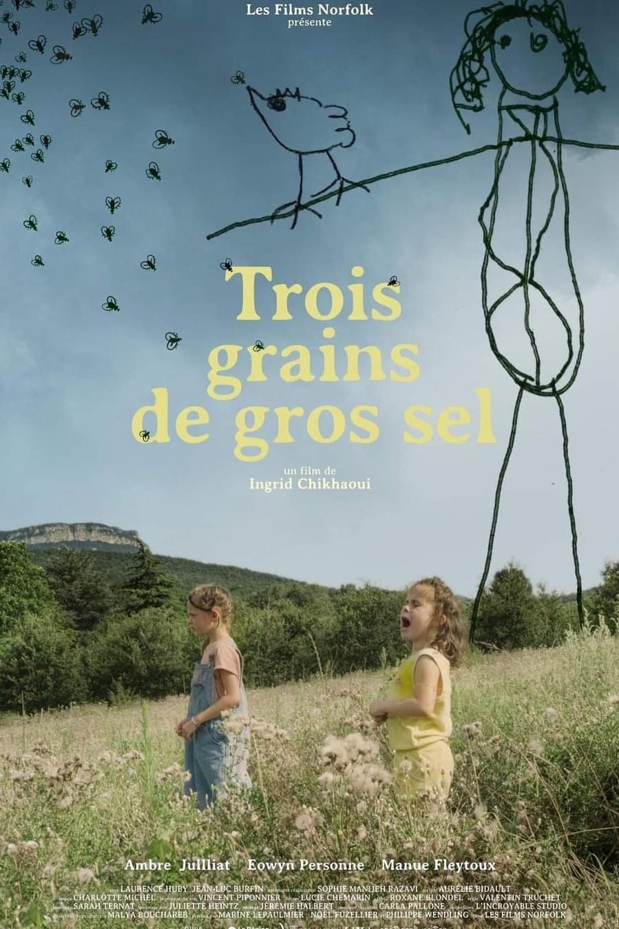 Trois Grains De Gros Sel