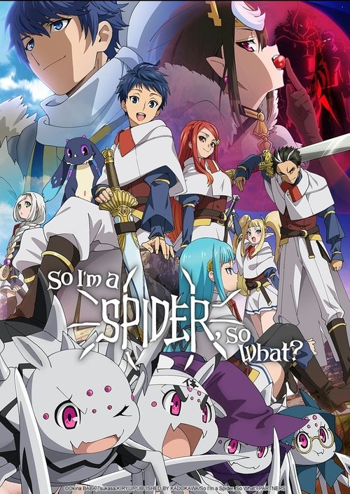 Kumo Desu ga, Nani ka