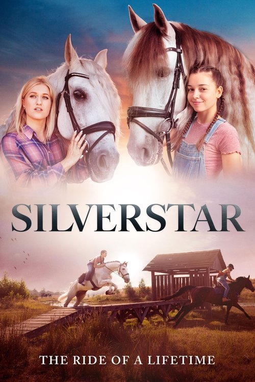 Silver Spoon 2